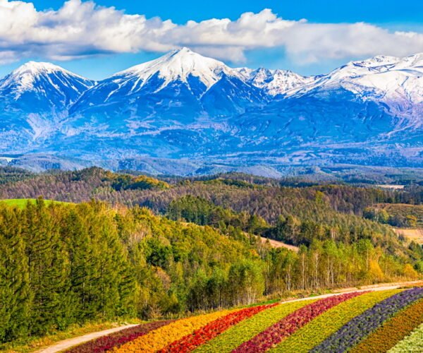 Japan’s Rising GCC Love Affair Goes North: Hokkaido Becomes the New Star of Summer