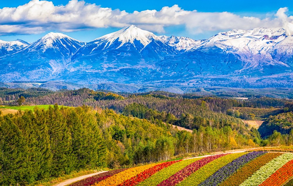 Japan’s Rising GCC Love Affair Goes North: Hokkaido Becomes the New Star of Summer